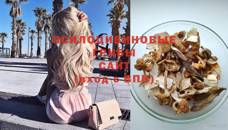 Галлюциногенные грибы Magic Shrooms  Ейск 